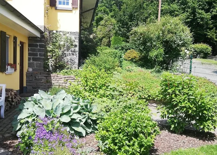 Wollmeiner's Lejlighed